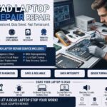 Dead Laptop Repair